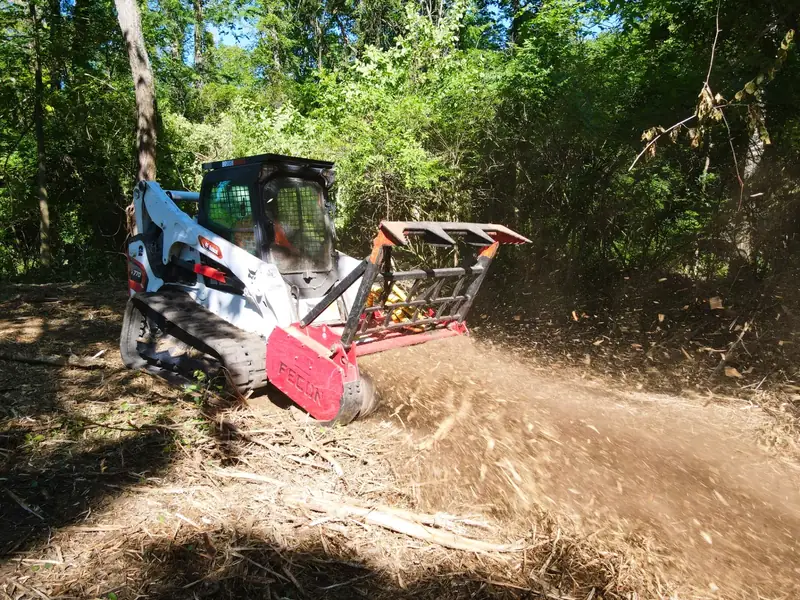 Invasive species removal service eliminating honeysuckle and restoring native ecosystems in Detroit Metro, Michigan