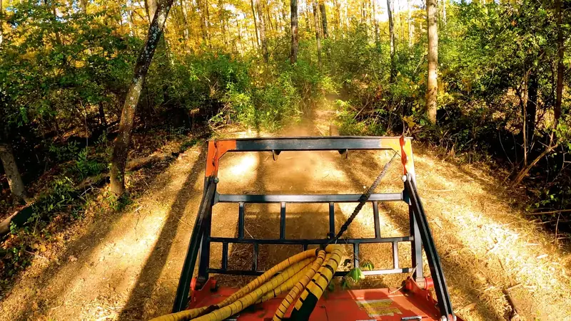 Professional trail cutting service creating clean access paths through dense woods for hunting and hiking in Detroit Metro, Michigan