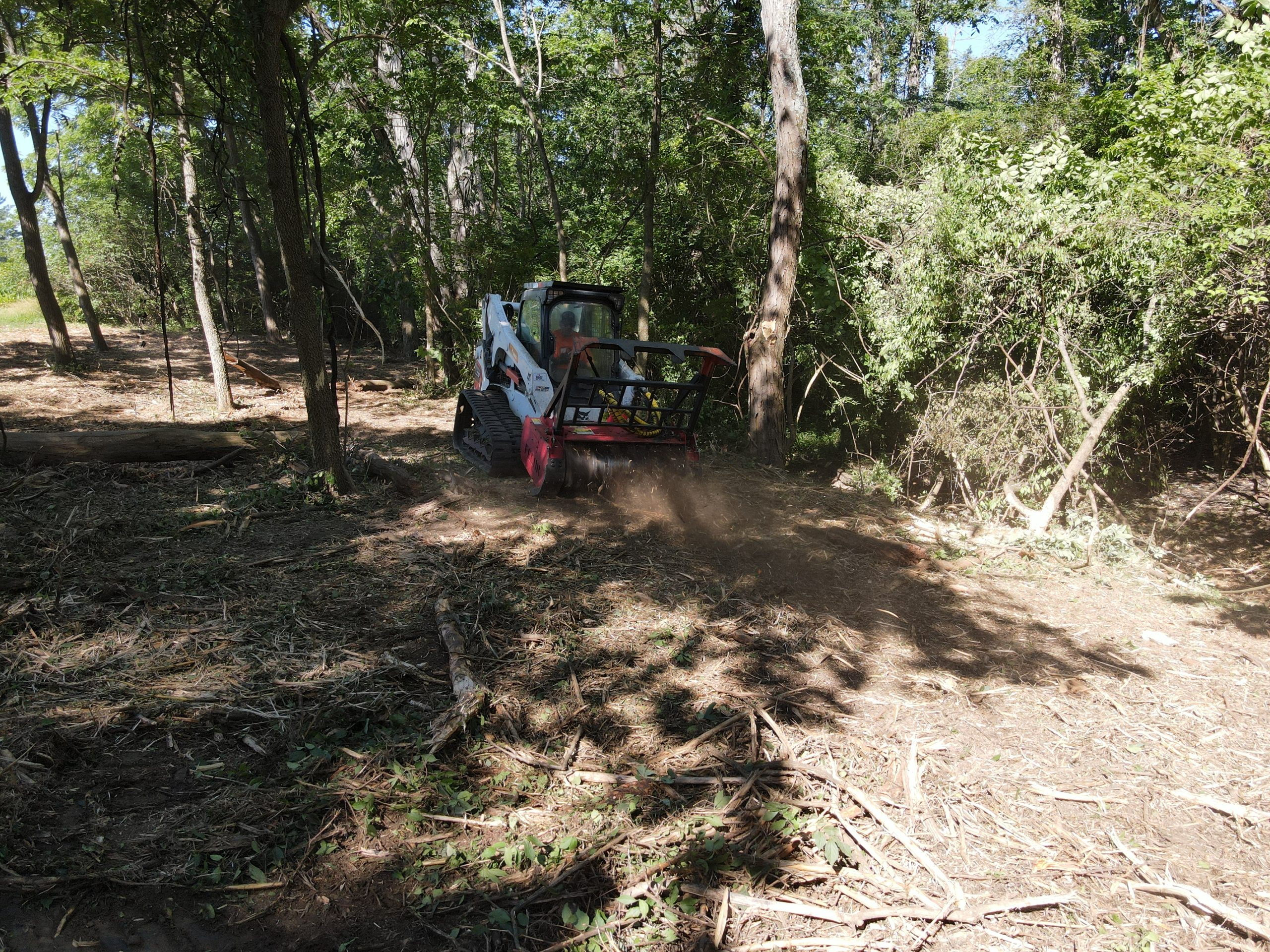 Forestry Mulching for Hunting Properties: How to Create Ideal Wildlife Openings