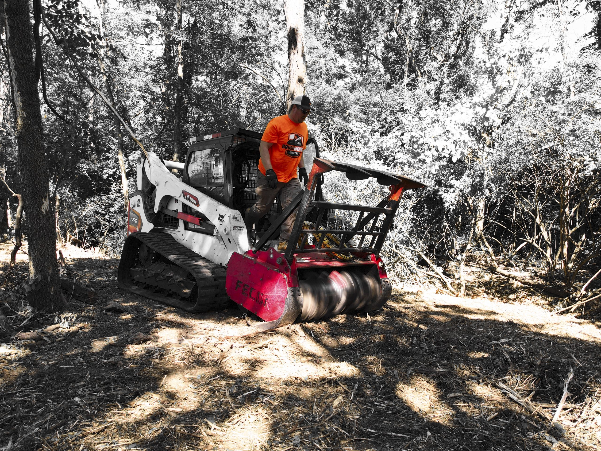 Can Forestry Mulching Be Done in the Winter? The Pros and Cons of Cold-Season Clearing