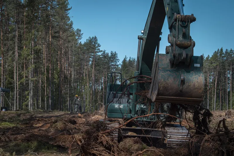 Excavator clearing: the stump comes out with its roots and the soil is turned over.