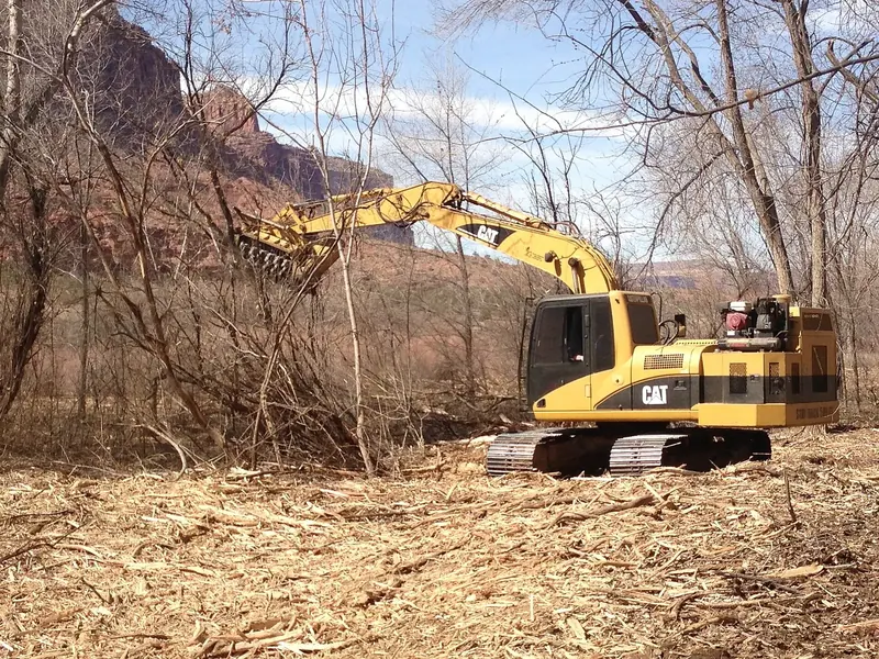 A mulching head over the chip layer it leaves: no piles, roots still in the ground.