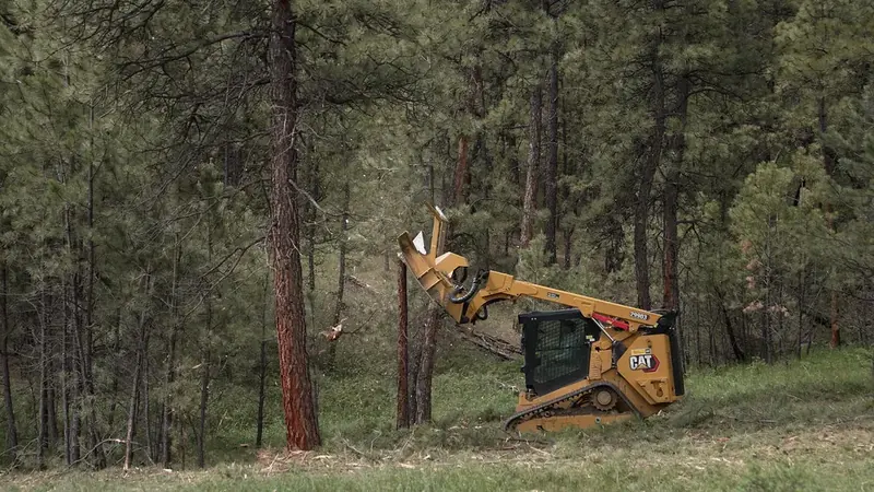 Forestry mulching: a tracked skid steer grinding a stand of small trees where they stand.