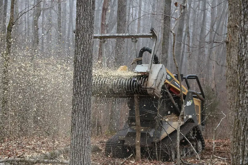 A forestry mulcher working a hardwood edge. Dead ash of mulchable size is ground where it stands.