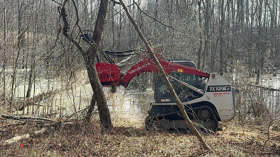 A tracked forestry mulcher grinding brush and saplings in place inside a hardwood stand.