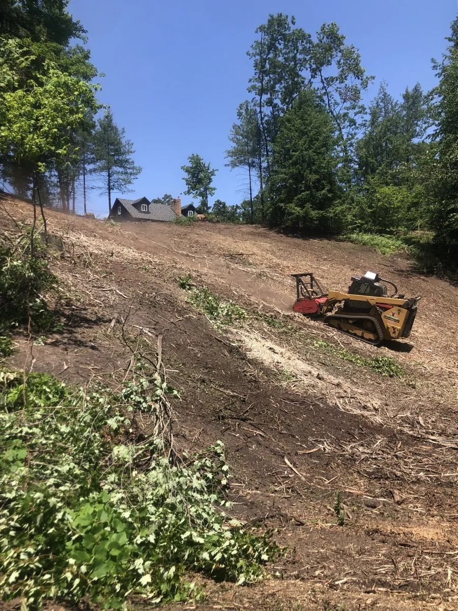 Steep Hillside Clearing in Michigan: How We Clear Slopes, Creek Banks, and Embankments With a Forestry Mulcher