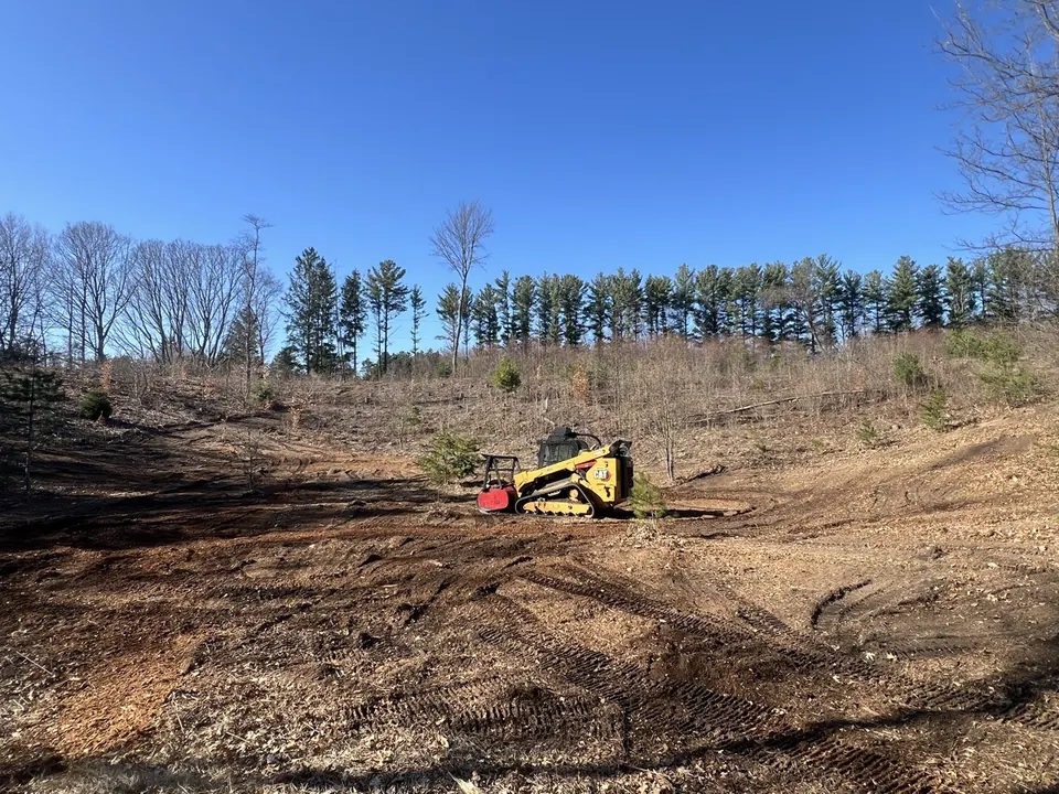 Food Plot Clearing in Michigan: How to Turn Overgrown Ground Into a Plantable Deer Plot