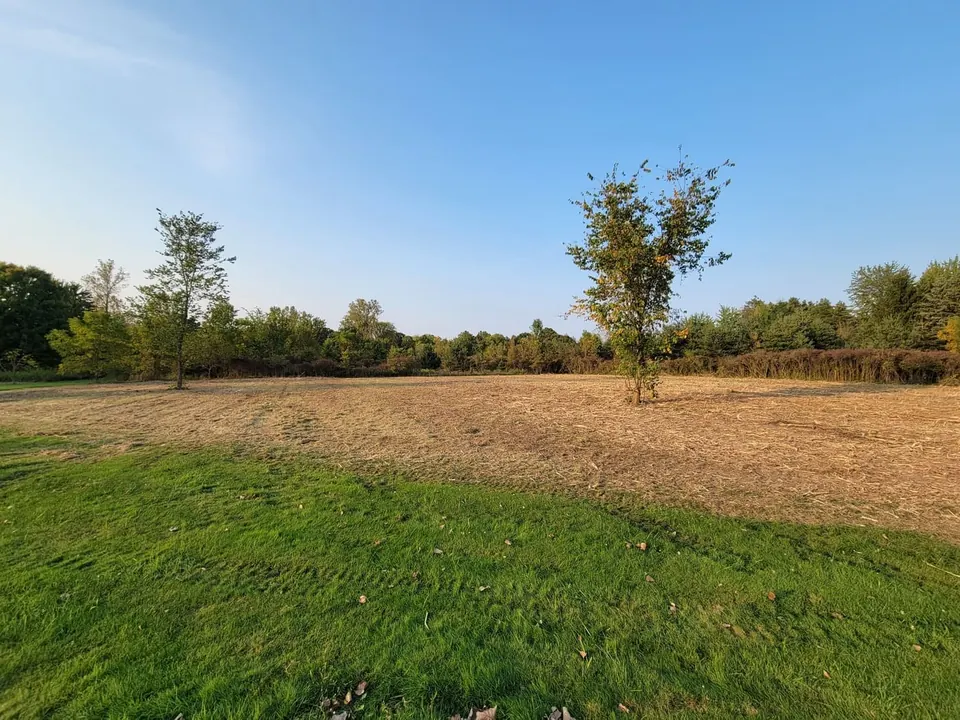 Commercial Site Preparation