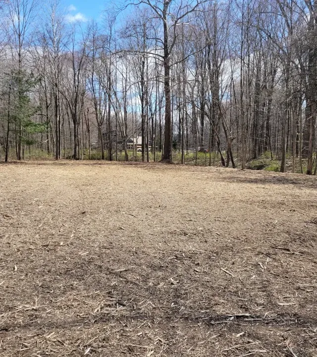 Wood chips left on the ground after forestry mulching