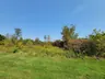 Land Clearing / Forestry Mulching