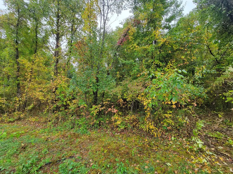 How Forestry Mulching Is Priced in Southeast Michigan: What Drives Your Quote (and Why There Is No Per-Acre Rate)