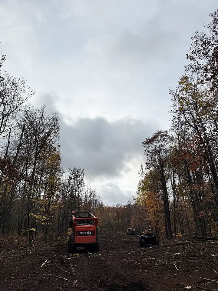 A mulching head grinding dense brush in a single pass. Vacant-lot growth this thick is common after two or three unmowed seasons.