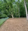 Fence Line Clearing