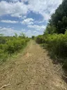 Trail Cutting