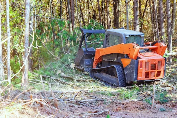 The mulching head raised between passes: brush and saplings are ground where they stand.