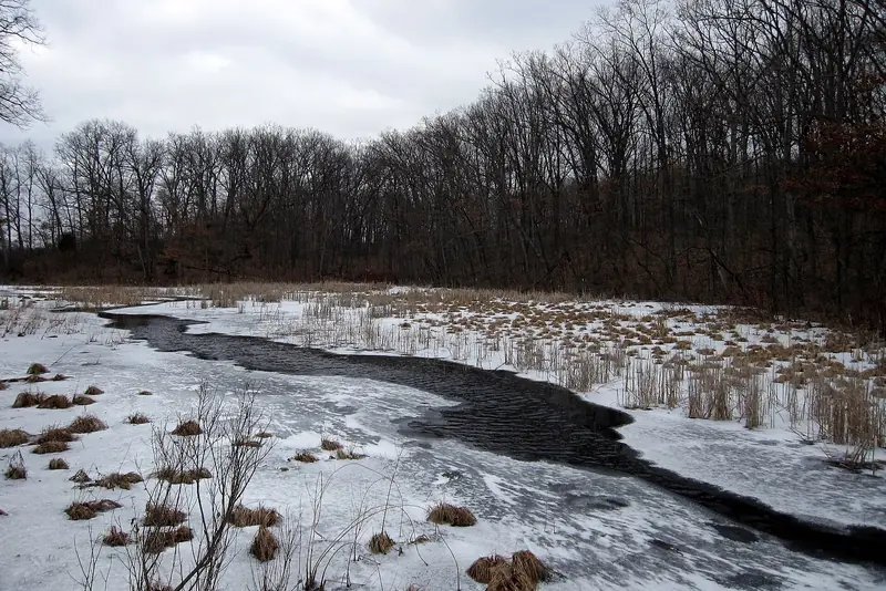 A creek in Pinckney in winter. Frozen ground is when the wet parcels get cleared.