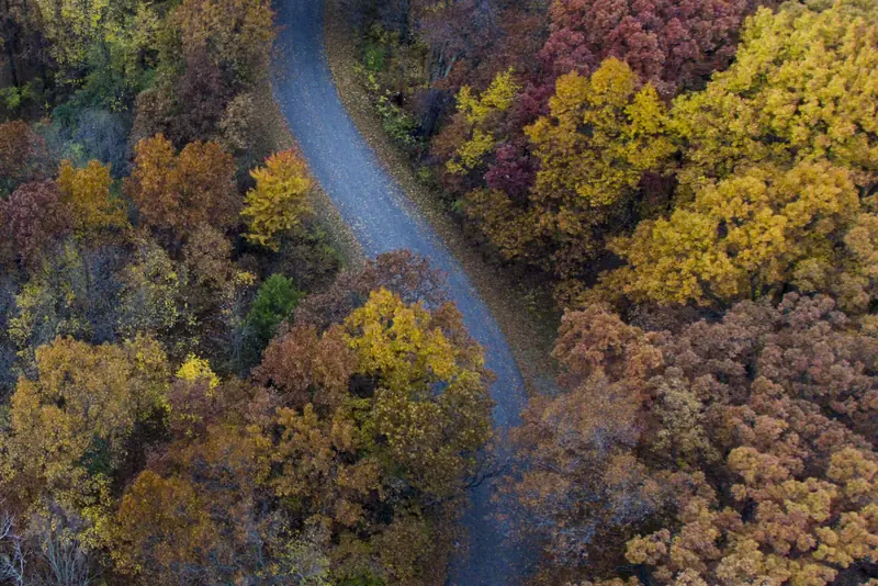 An aerial view of a wooded road near Holly, the scale of ground a trail network usually covers.