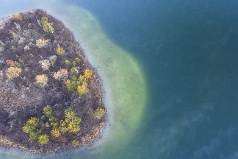 Wooded lake shoreline near Fenton, in Genesee County’s lake country