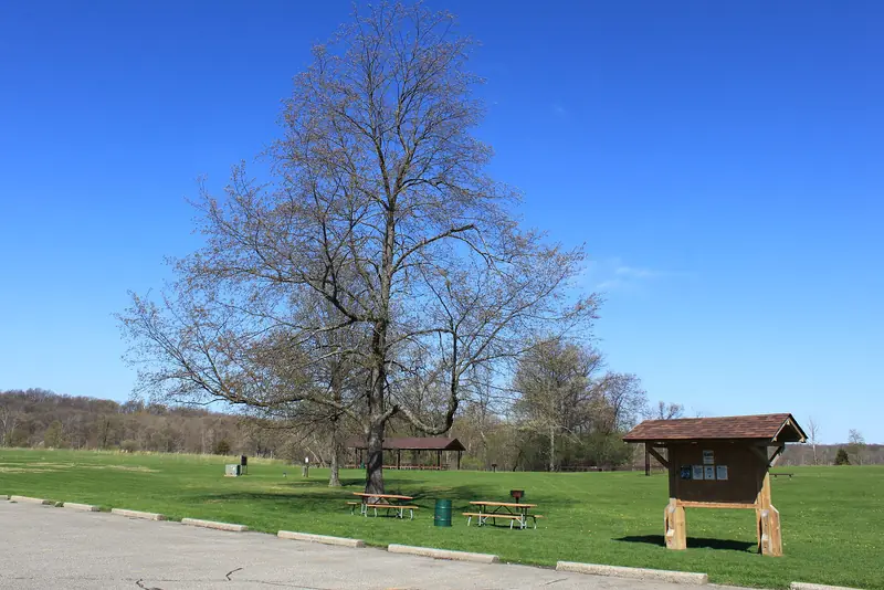 A meadow at Highland Recreation Area in Highland Township, oak-and-meadow country. Ground like this stays open only while someone keeps it cut.