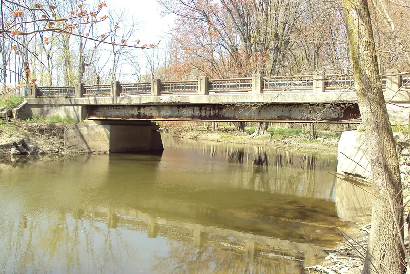 The Belle River in St. Clair County. River and creek bottoms like this are where willow and dogwood take hold.