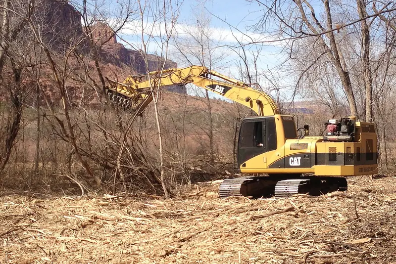 A mulching machine working through brush, grinding it where it stands.