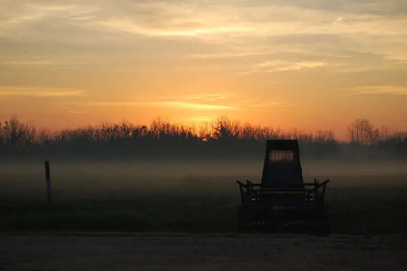A tracked mulcher at work in low evening light, finishing a pass at the end of the day.